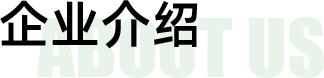 公司文化